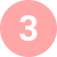 Work Stream 3 (WS3)